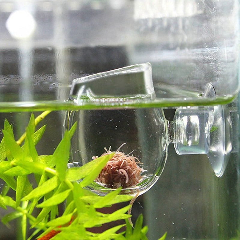 Aquariums Fish Feeders Glass Feeding Food Cup Plant Cup Brine Shrimp Live Red Worm Fish Clear Dish Tray for Aquariums