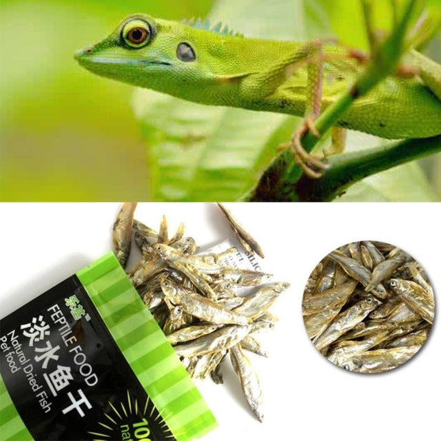 Betta Fish Feeder Turtle Food Feed Sticks Granules Dried Fish Shrimp Bread Worms Reptile Aquarium Terrapin Tortoise Food
